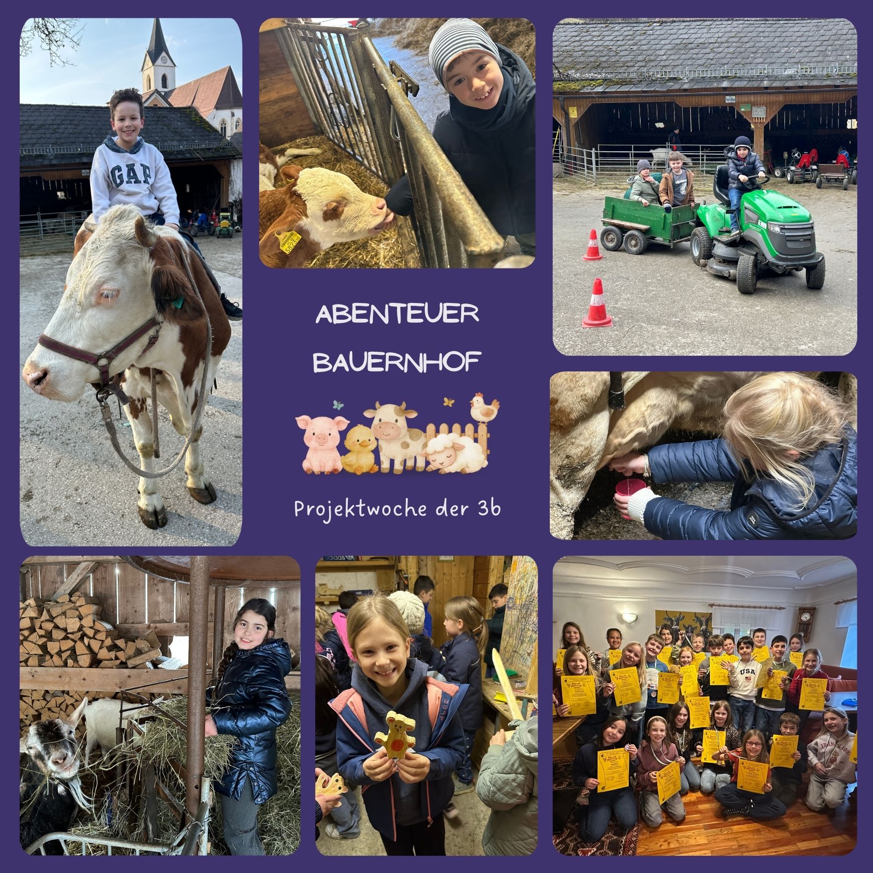 Abenteuer Bauernhof - Die 3b war auf Projektwoche!