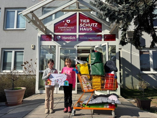 Sammelaktion Tierschutzhaus