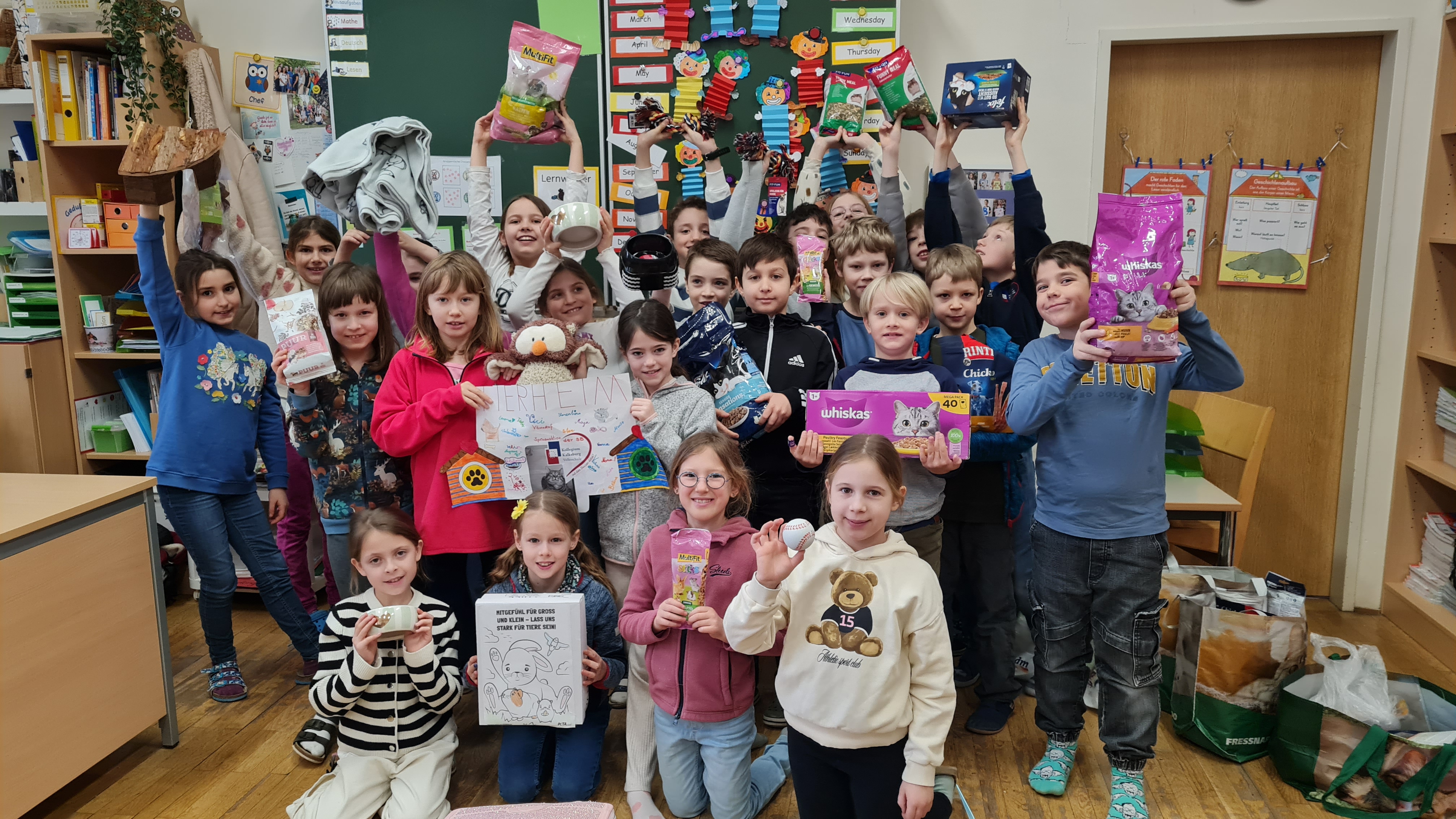 Sammelaktion 3b Tierschutzhaus 2025